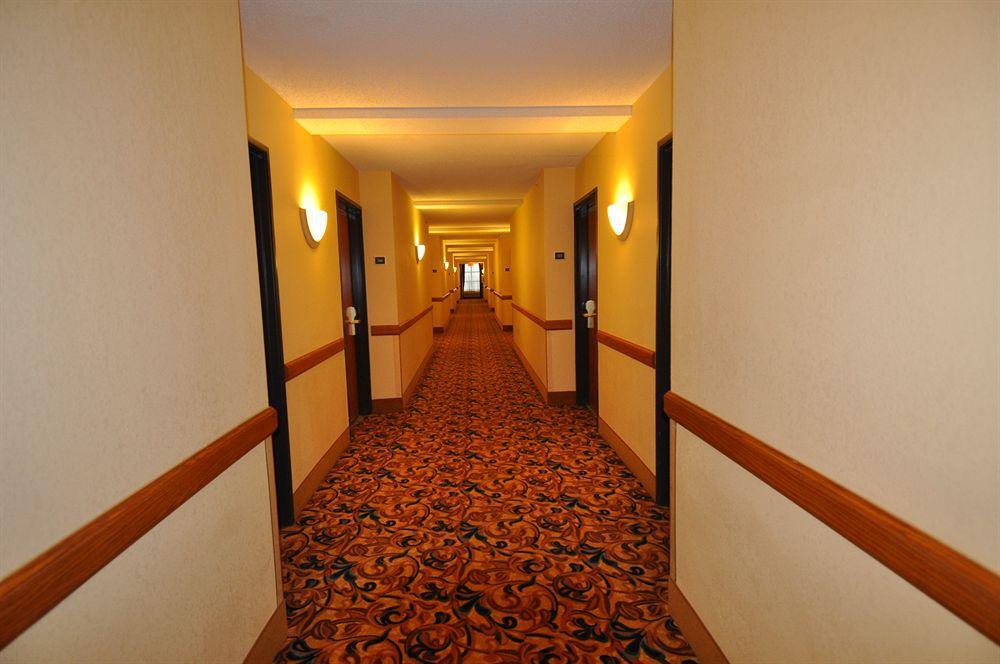 Comfort Inn & Suites New Orleans Airport North Kenner Εσωτερικό φωτογραφία